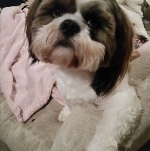 Meet your Posher, Elaine